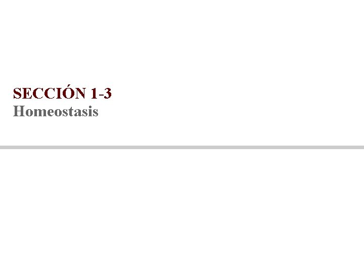 SECCIÓN 1 -3 Homeostasis 