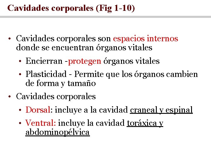 Cavidades corporales (Fig 1 -10) • Cavidades corporales son espacios internos donde se encuentran