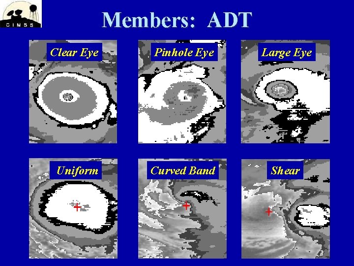 Members: ADT Clear Eye Pinhole Eye Large Eye Uniform Curved Band Shear 