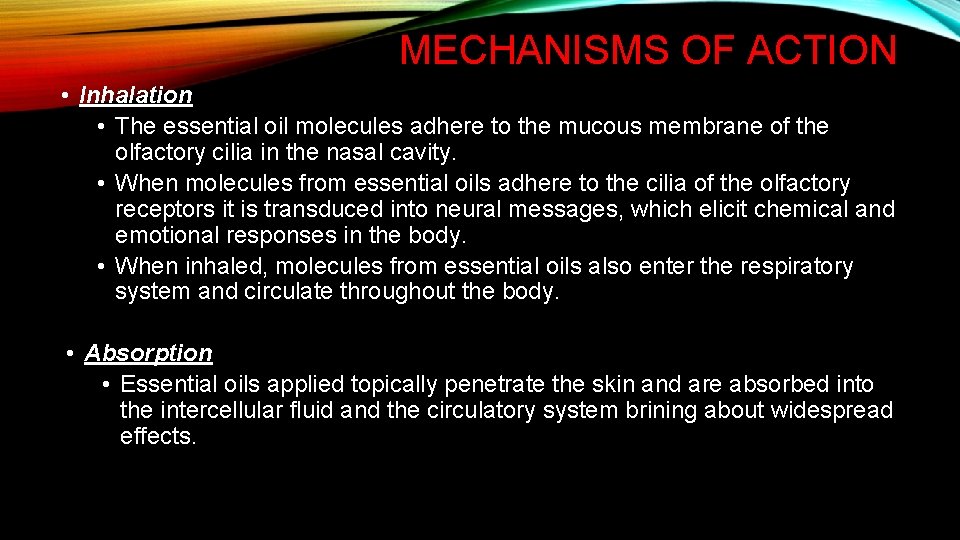 MECHANISMS OF ACTION • Inhalation • The essential oil molecules adhere to the mucous