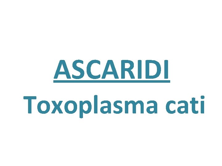 ASCARIDI Toxoplasma cati 