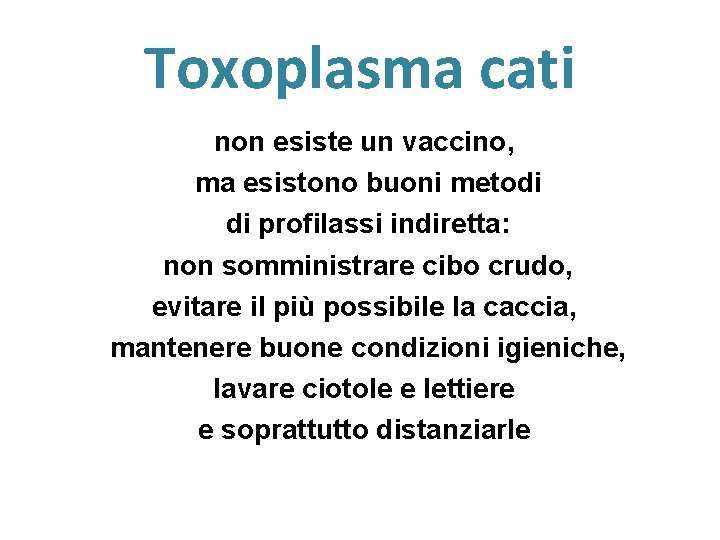 Toxoplasma cati non esiste un vaccino, ma esistono buoni metodi di profilassi indiretta: non