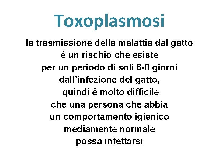 Toxoplasmosi la trasmissione della malattia dal gatto è un rischio che esiste per un