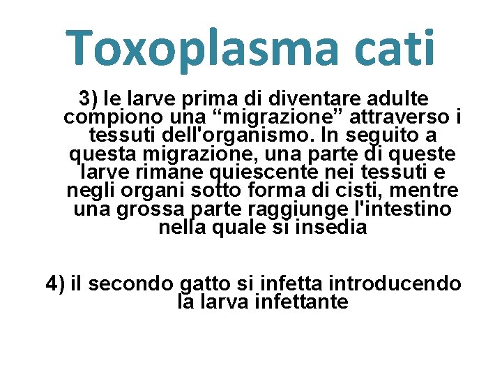 Toxoplasma cati 3) le larve prima di diventare adulte compiono una “migrazione” attraverso i