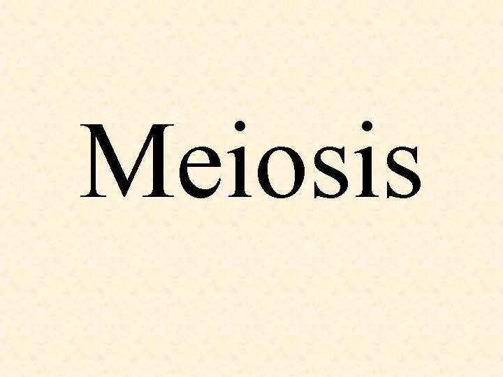 Meiosis 