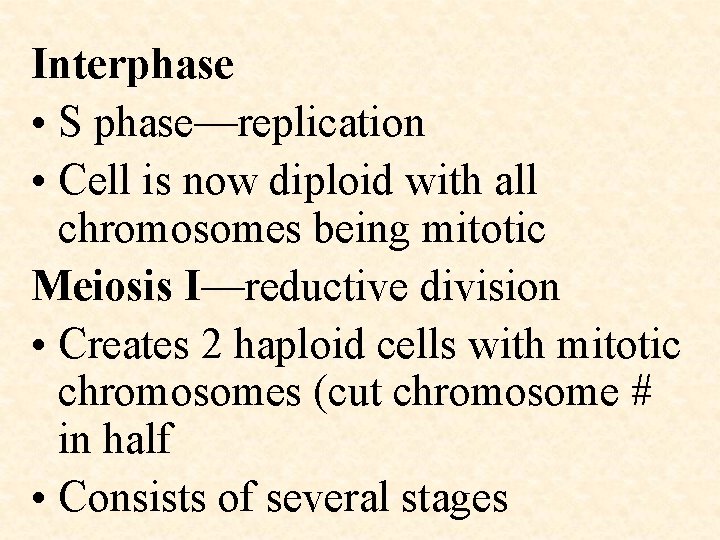 Interphase • S phase—replication • Cell is now diploid with all chromosomes being mitotic