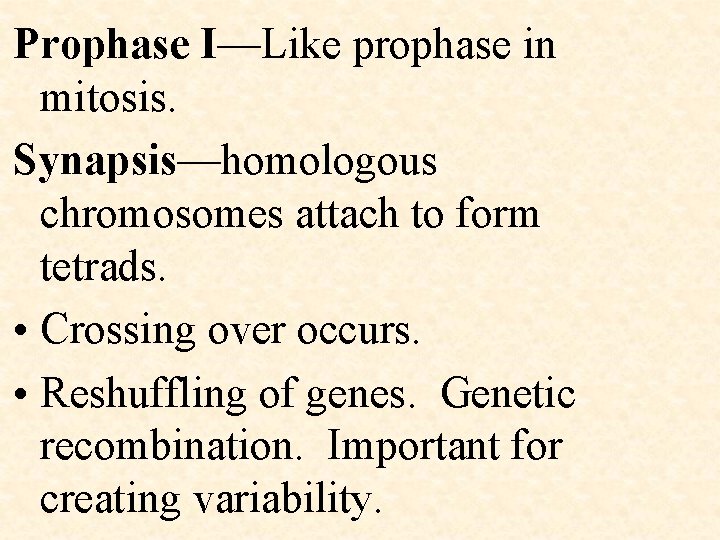 Prophase I—Like prophase in mitosis. Synapsis—homologous chromosomes attach to form tetrads. • Crossing over