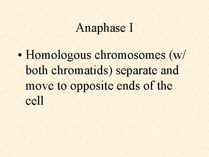 Anaphase I • Homologous chromosomes (w/ both chromatids) separate and move to opposite ends