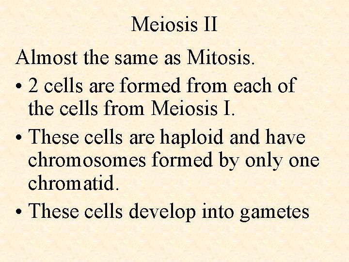 Meiosis II Almost the same as Mitosis. • 2 cells are formed from each