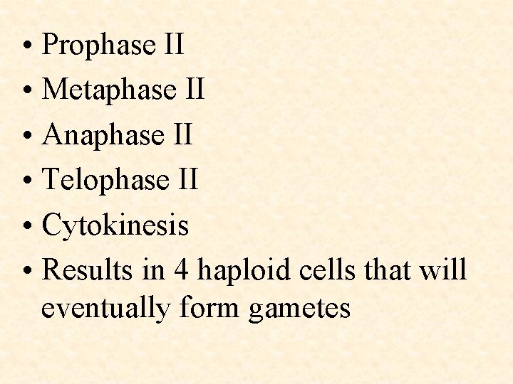  • Prophase II • Metaphase II • Anaphase II • Telophase II •