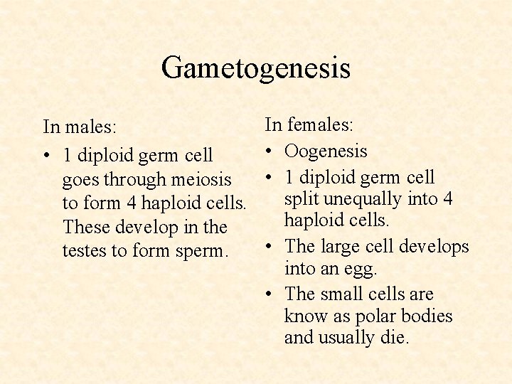Gametogenesis In males: • 1 diploid germ cell goes through meiosis to form 4