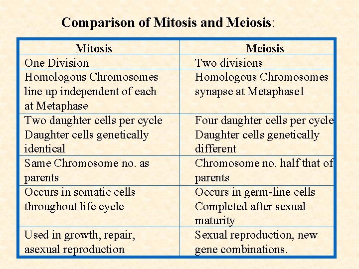 Comparison of Mitosis and Meiosis: Mitosis One Division Homologous Chromosomes line up independent of