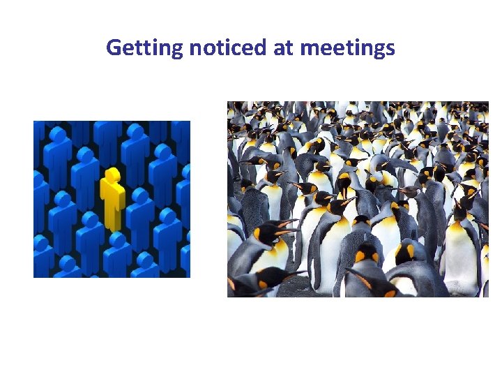 Getting noticed at meetings 