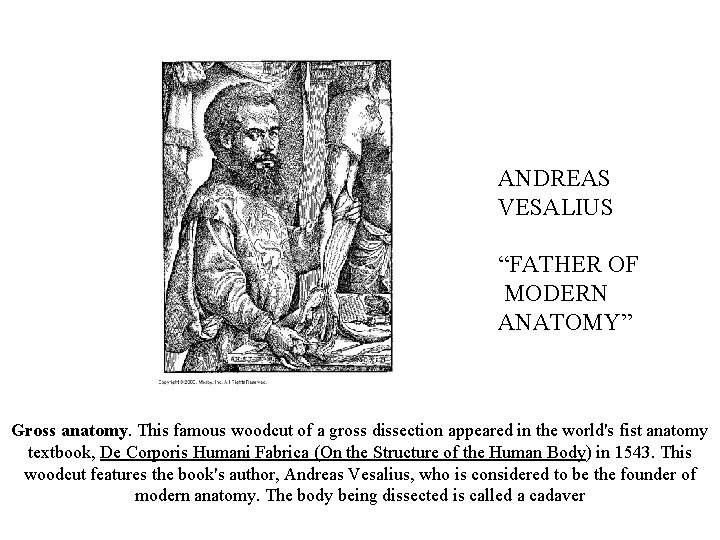 ANDREAS VESALIUS “FATHER OF MODERN ANATOMY” Gross anatomy. This famous woodcut of a gross