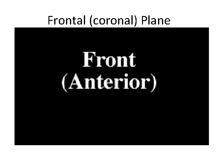 Frontal (coronal) Plane 