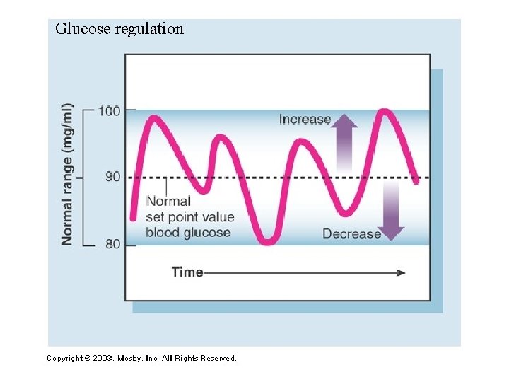 Glucose regulation 