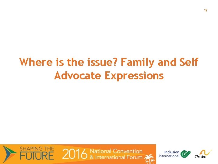 19 Where is the issue? Family and Self Advocate Expressions 