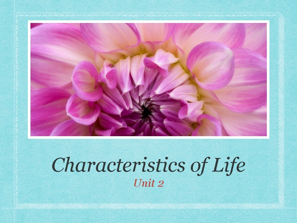 Characteristics of Life Unit 2 