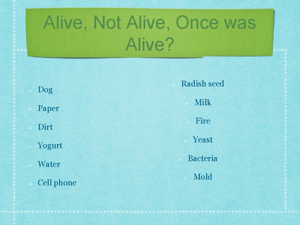 Alive, Not Alive, Once was Alive? Dog Paper Dirt Yogurt Water Cell phone Radish