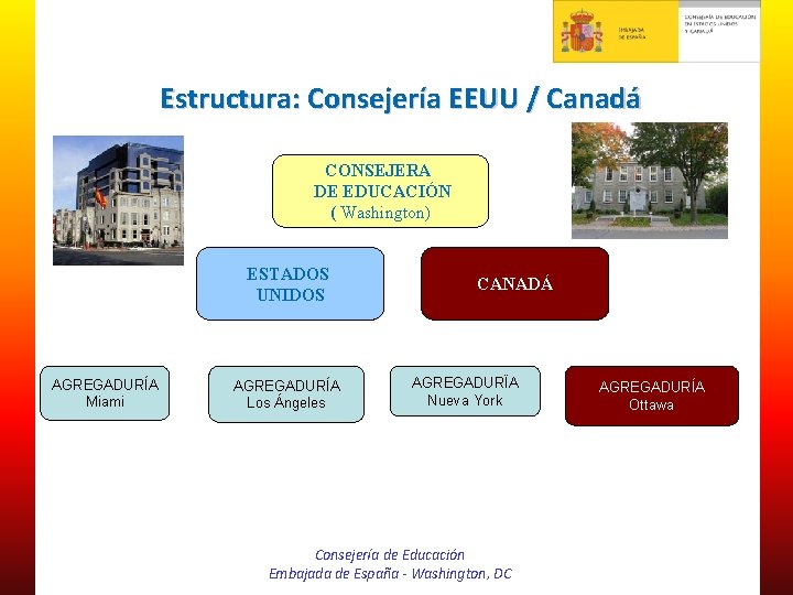 Estructura: Consejería EEUU / Canadá CONSEJERA DE EDUCACIÓN ( Washington) ESTADOS UNIDOS AGREGADURÍA Miami