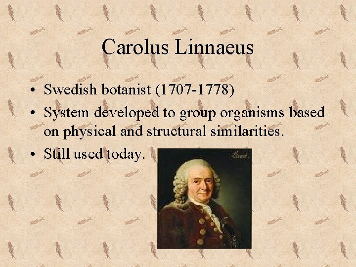 Carolus Linnaeus • Swedish botanist (1707 -1778) • System developed to group organisms based
