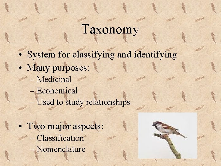 Taxonomy • System for classifying and identifying • Many purposes: – Medicinal – Economical