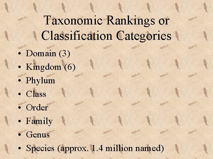 Taxonomic Rankings or Classification Categories • • Domain (3) Kingdom (6) Phylum Class Order