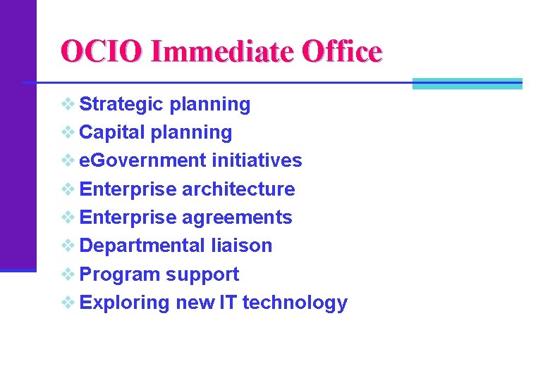 OCIO Immediate Office v Strategic planning v Capital planning v e. Government initiatives v