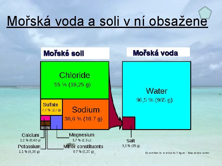 Mořská voda a soli v ní obsažené Mořské soli Mořská voda 