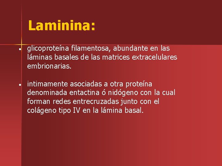 Laminina: • glicoproteína filamentosa, abundante en las láminas basales de las matrices extracelulares embrionarias.