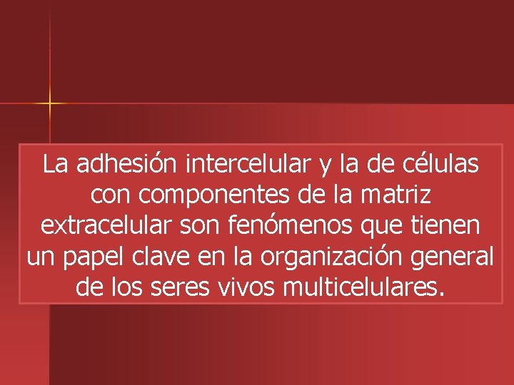 La adhesión intercelular y la de células con componentes de la matriz extracelular son