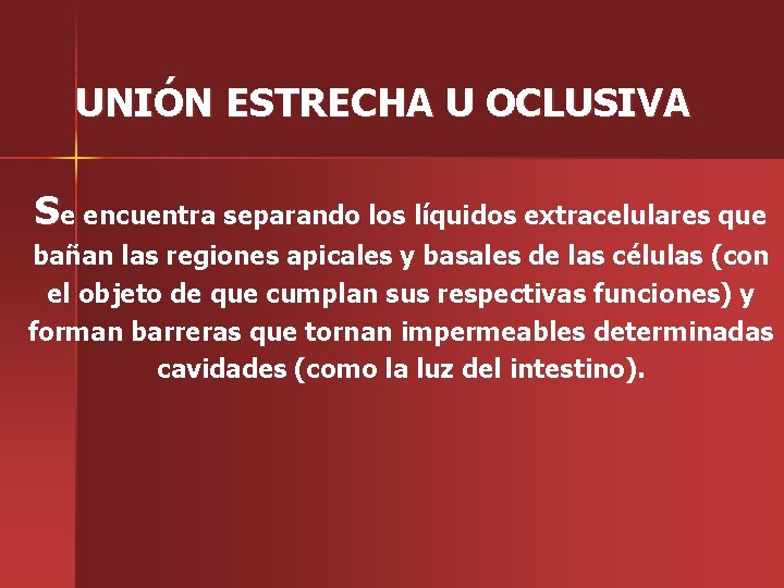 UNIÓN ESTRECHA U OCLUSIVA Se encuentra separando los líquidos extracelulares que bañan las regiones