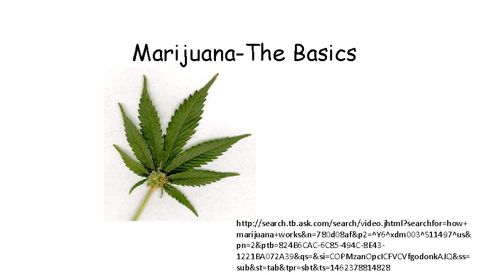 Marijuana-The Basics http: //search. tb. ask. com/search/video. jhtml? searchfor=how+ marijuana+works&n=780 d 08 af&p 2=^Y