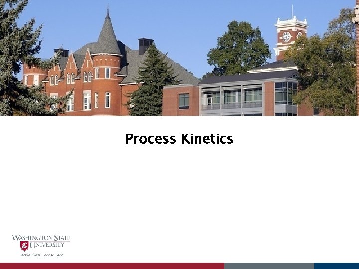 Process Kinetics 