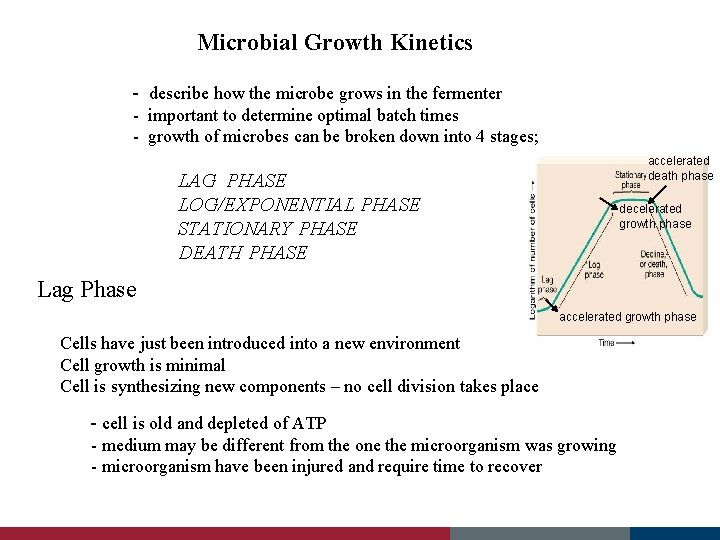 Microbial Growth Kinetics - describe how the microbe grows in the fermenter - important