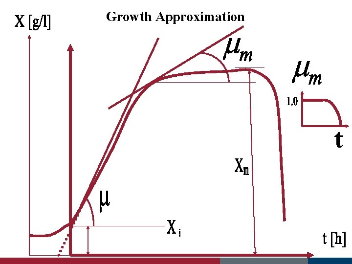 Growth Approximation 