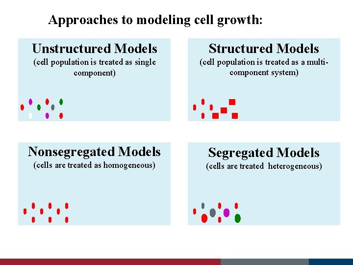 Approaches to modeling cell growth: Unstructured Models Structured Models (cell population is treated as