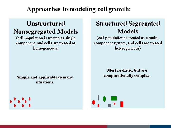 Approaches to modeling cell growth: Unstructured Nonsegregated Models Structured Segregated Models (cell population is
