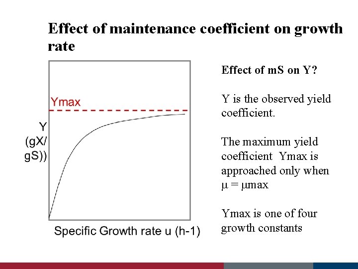 Effect of maintenance coefficient on growth rate Effect of m. S on Y? Y