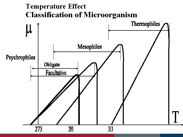 Temperature Effect Classification of Microorganism 