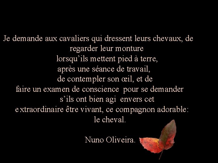 Je demande aux cavaliers qui dressent leurs chevaux, de regarder leur monture lorsqu’ils mettent