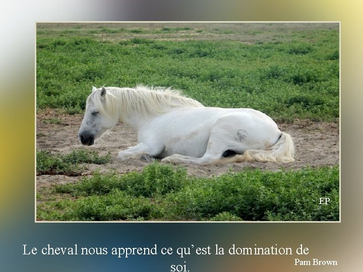 EP Le cheval nous apprend ce qu’est la domination de Pam Brown soi. 