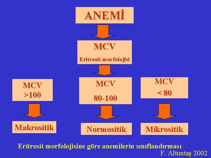 ANEMİ MCV Eritrosit morfolojisi MCV >100 80 -100 Makrositik Normositik MCV < 80 Mikrositik