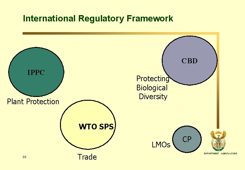 International Regulatory Framework CBD IPPC Protecting Biological Diversity Plant Protection WTO SPS LMOs 33
