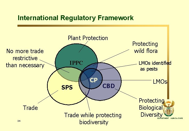 International Regulatory Framework Plant Protection No more trade restrictive than necessary IPPC LMOs identified