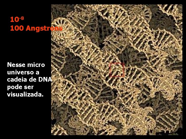 10 -8 100 Angstrons Nesse micro universo a cadeia de DNA pode ser visualizada.