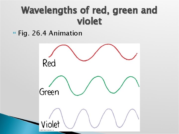 Wavelengths of red, green and violet Fig. 26. 4 Animation 