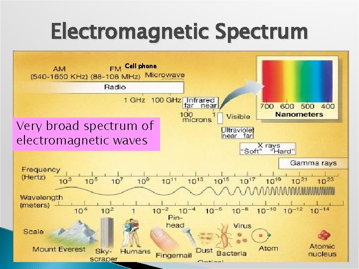 Electromagnetic Spectrum Cell phone Very broad spectrum of electromagnetic waves 