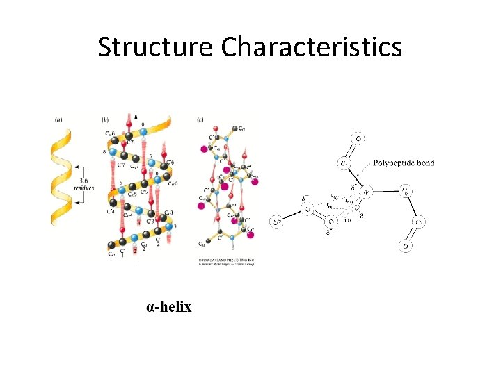 Structure Characteristics 