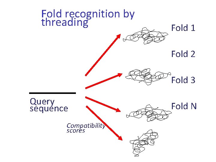Fold recognition by threading Fold 1 Fold 2 Fold 3 Query sequence Compatibility scores